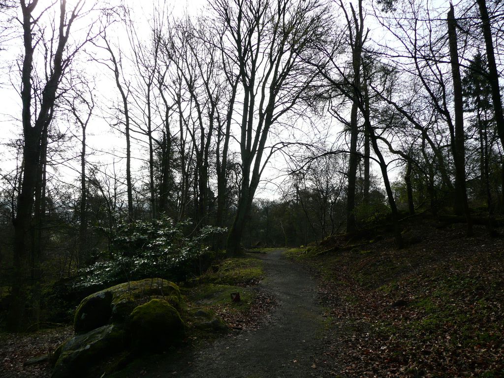 Wallace monument (15)
